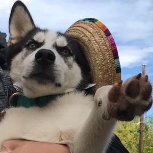 Meet your Posher, Aj